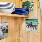 Tinyhouse Alpakawiese Schlitz