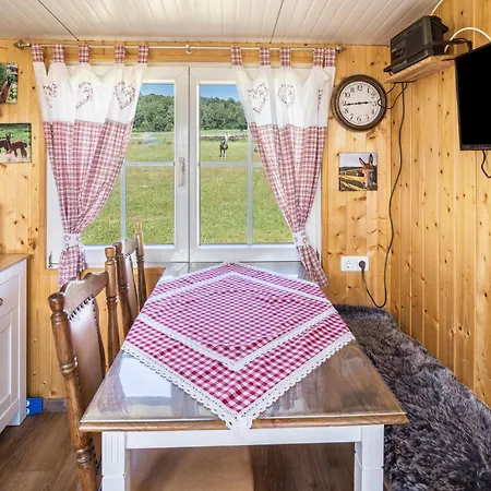 Tinyhouse Alpakawiese