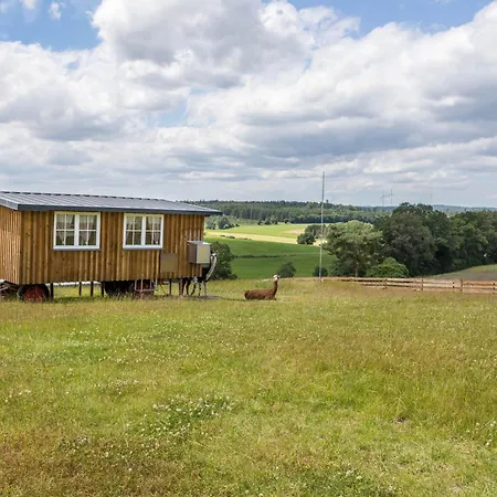 Tinyhouse Alpakawiese