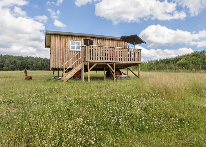 Tinyhouse Alpakawiese 別荘 *