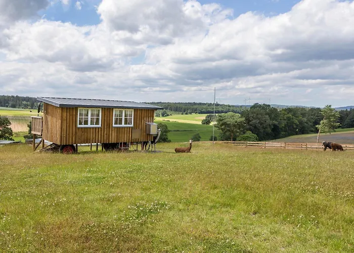 Tinyhouse Alpakawiese *