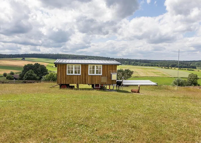Tinyhouse Alpakawiese *
